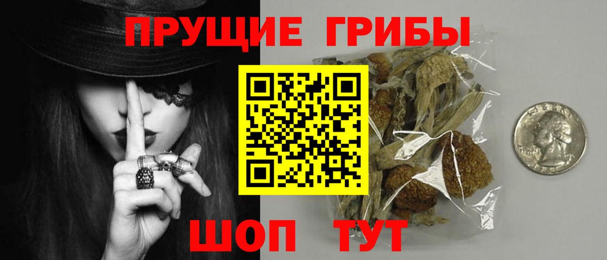 Галлюциногенные грибы GOLDEN TEACHER Ржев